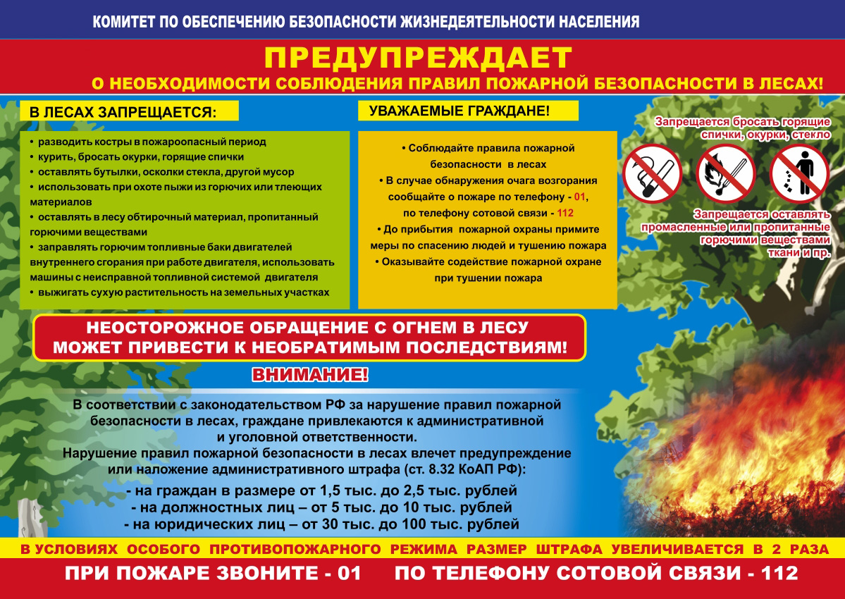 Правила поведения и техника безопасности | Водненский дом культуры | Версия  для слабовидящих